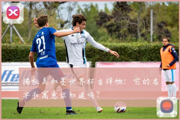揭秘美加墨世界杯吉祥物：它的名字和寓意你知道吗？