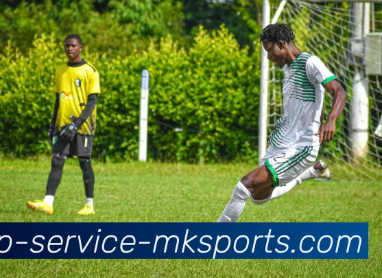 MK体育APPAPP 封面图